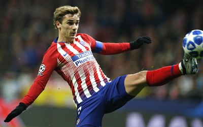 熊猫体育焦点-B席这态度认真