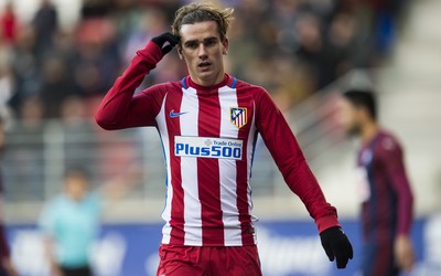 熊猫体育精华-一锤定音