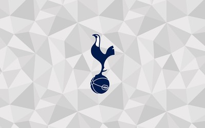 熊猫体育评论-玛雅伤退球队瞬间不会踢了