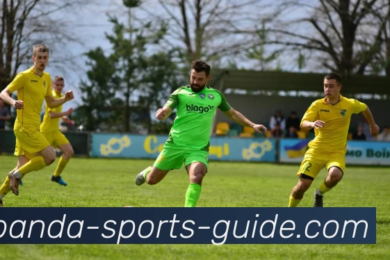 熊猫体育指南APP 体育赛事宣传图